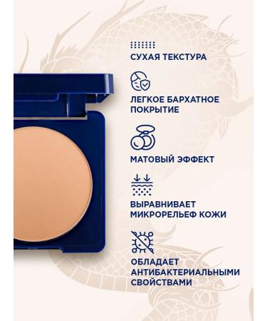 SHU Facial powder compact compact with mirror No. 303 dark - Buy Online on GoSupps.com