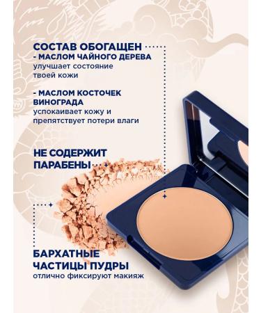 SHU Facial powder compact compact with mirror No. 303 dark - Buy Online on GoSupps.com