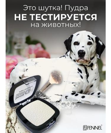 Fennel Finish powder compact HD Finish Powder - Pearl - Buy Online on GoSupps.com