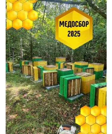 Mushrooms Honey Honey lavender natural - Buy Online on GoSupps.com