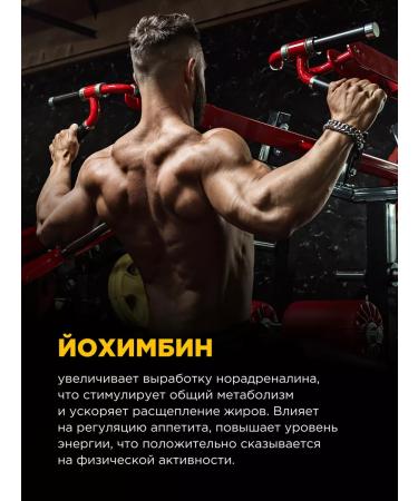 BombBar Fat burner for weight loss sports 60 capsules - Buy Online on GoSupps.com