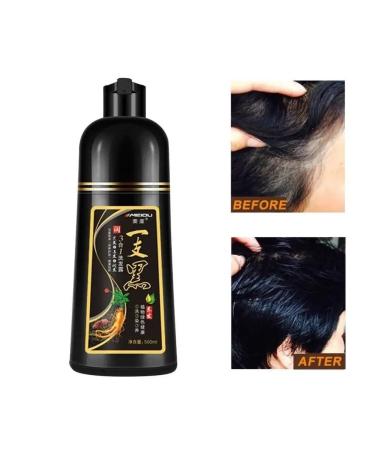 LAILA SHOP Hair paint shampoo - Buy Online on GoSupps.com