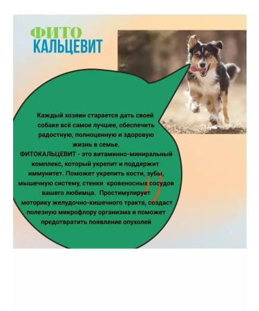 RIO Vitamins phytocalsevit for adult dogs 500g (10 pieces) - Buy Online on GoSupps.com