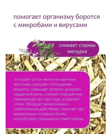 Herbs of the Crimean Mountains Kotovnik Cat grass dried for tea 80 g - Buy Online on GoSupps.com