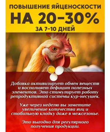 Zdravur 600  - Buy Online on GoSupps.com