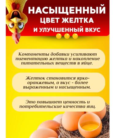 Zdravur 600  - Buy Online on GoSupps.com