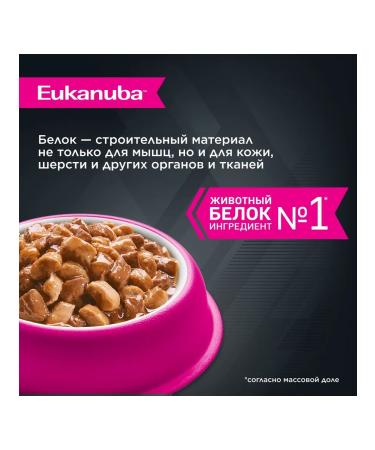 Eukanuba Spider Adult Dog for dogs with chicken - 100 g x 24 pcs - Buy Online on GoSupps.com