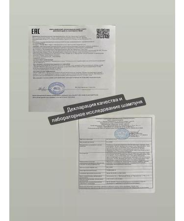 KGFetter Sulfate-free hair shampoo - Buy Online on GoSupps.com