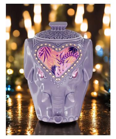 Hilltop Gift set of black tea 50 g - Buy Online on GoSupps.com