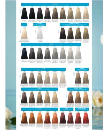 Inebrya Hair dye without ammonia professional 10 13e - Buy Online on GoSupps.com