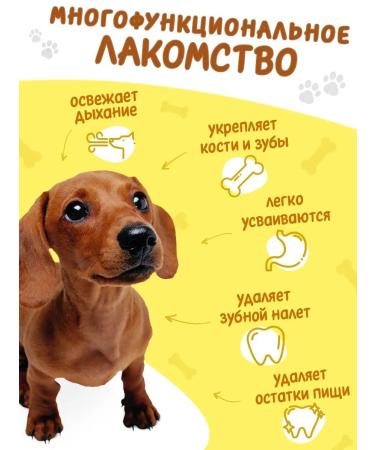 Toothpicks Toothpick peppermint for dogs of small breeds 6 units - Buy Online on GoSupps.com