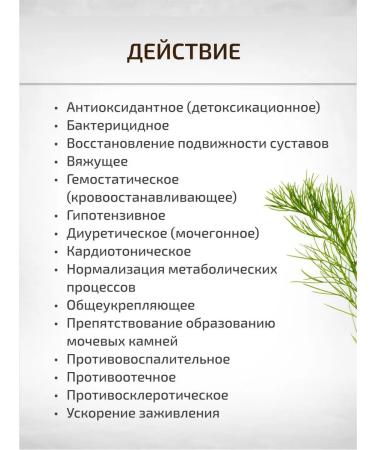 Sage Horsetail of field grass 50 g Healing herbs phytocha - Buy Online on GoSupps.com