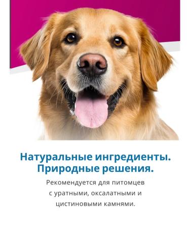 Farmina Dry food for dogs with urolithiasis Oksalat 12kg - Buy Online on GoSupps.com