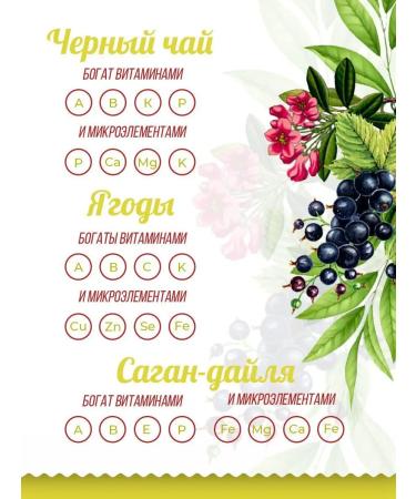 FOODVILL Gift Taiga Collection black leaf tea "Lights of Baikal" 100 grams - Buy Online on GoSupps.com