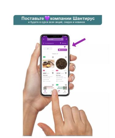 Shantirus Green milk oolong 10pcs. 1000 gr - Buy Online on GoSupps.com