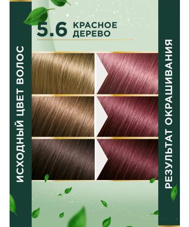 Fito cosmetic Persistent hair dye 5.6 Red tree 2 pcs - Buy Online on GoSupps.com