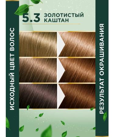 Fito cosmetic Persistent hair dye 5.3 golden chestnut 2 pcs - Buy Online on GoSupps.com