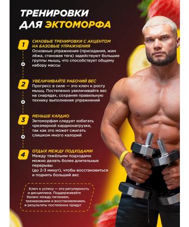 Prime Kraft Heiner Squirrel-Cool Strawberry-Banan 1000 G. - Buy Online on GoSupps.com