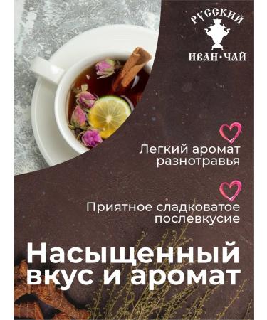 Chaga tea The voice of the north with currant and apple - Buy Online on GoSupps.com