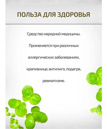 Sage Duckweed small 10 g healing herbs phytochai - Buy Online on GoSupps.com