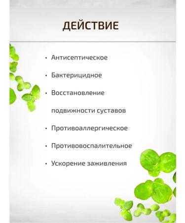 Sage Duckweed small 10 g healing herbs phytochai - Buy Online on GoSupps.com