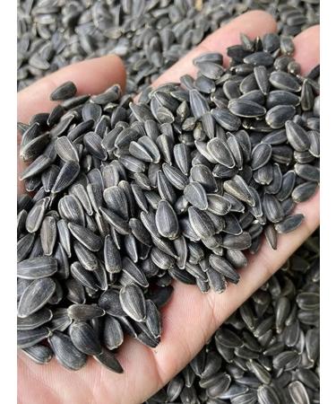 I LOVE and COOK Sunflower seeds raw indifferent large 3 kg - Buy Online on GoSupps.com