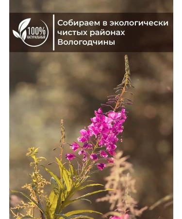 Russian Ivantea Ivan-tea leaf with rosehip 50g - Buy Online on GoSupps.com