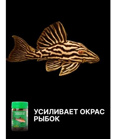 Dragon Food for fish of aquarium bottom species - Buy Online on GoSupps.com