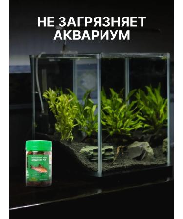 Dragon Food for fish of aquarium bottom species - Buy Online on GoSupps.com