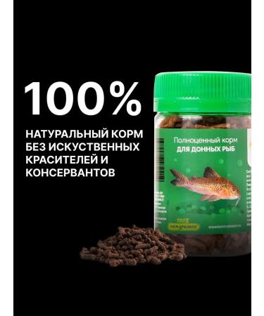 Dragon Food for fish of aquarium bottom species - Buy Online on GoSupps.com