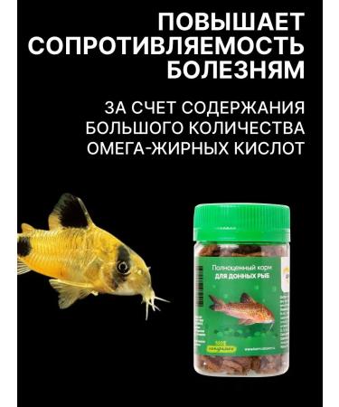 Dragon Food for fish of aquarium bottom species - Buy Online on GoSupps.com