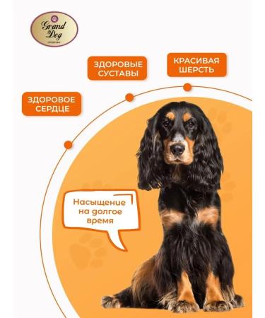 Grand Dog Dog feed of large Sensitiv 10 kg - Buy Online on GoSupps.com