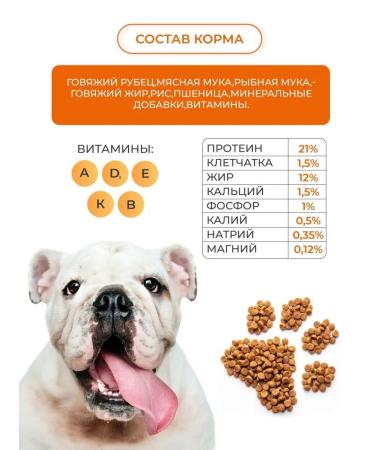 Grand Dog Dry food for dogs regular with beef scar10 kg - Buy Online on GoSupps.com