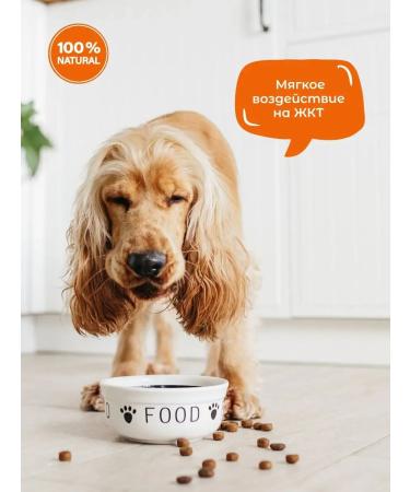 Grand Dog Dog feed Energy Activ10 kg - Buy Online on GoSupps.com