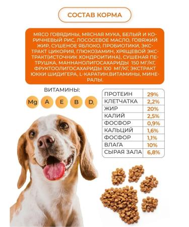 Grand Dog Dog feed Energy Activ10 kg - Buy Online on GoSupps.com