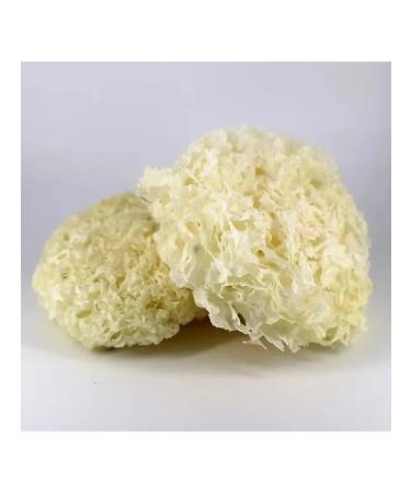 Fungiline Tremella (Fukus -shaped shift) 60 capsules - Buy Online on GoSupps.com