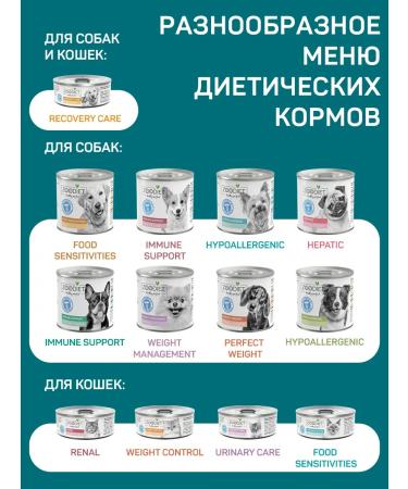 Zoodiet Dog food wet zoodhetic 240 g 12 pcs with a rabbit - Buy Online on GoSupps.com