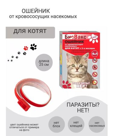 BioVax Bio -hazelnik for kittens 25cm red