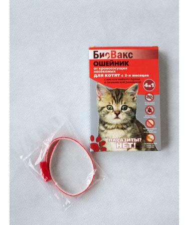 BioVax Bio -hazelnik for kittens 25cm red - Buy Online on GoSupps.com