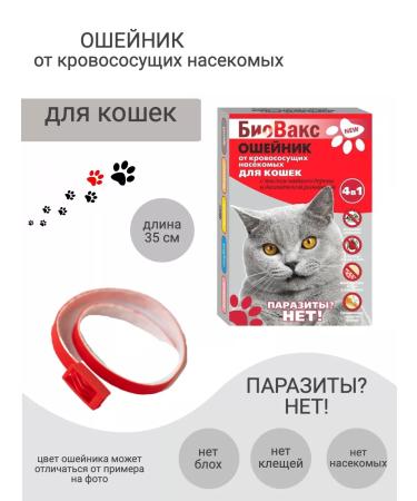 Biovax Bio -cheese for adult cats 35 cm red