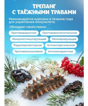 The world of trepang Tags with taiga herbs 6 bags - Buy Online on GoSupps.com