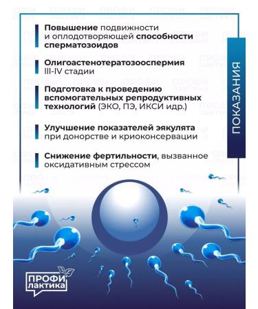 Spermactin Fort for successful conception - 15 Sasha - Buy Online on GoSupps.com