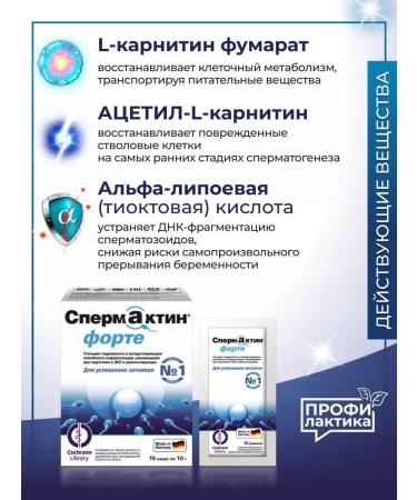 Spermactin Fort for successful conception - 15 Sasha - Buy Online on GoSupps.com