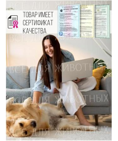 FeelGood Vitamins for puppies prebiotic for omega3 immunity3 - Buy Online on GoSupps.com