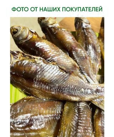 Gifts of the Caspian Vobla dried selected size 19-21 cm 1 kg in vacuum - Buy Online on GoSupps.com