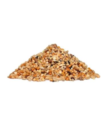 RIO The main diet for wavy parrots 1 kg - Buy Online on GoSupps.com