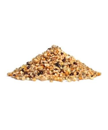 RIO Feed for exotic birds 1 kg - Buy Online on GoSupps.com
