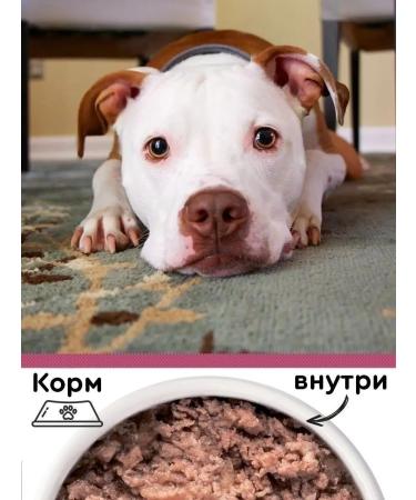 Taste of meat Dog food moist small breeds and heart 240 g 12 pcs - Buy Online on GoSupps.com