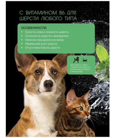 iv san bernard Shampoo for dogs and cats with vitamin B6 mint 500 ml - Buy Online on GoSupps.com