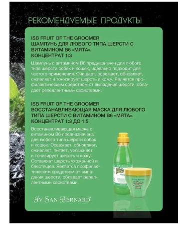 iv san bernard Shampoo for dogs and cats with vitamin B6 mint 500 ml - Buy Online on GoSupps.com